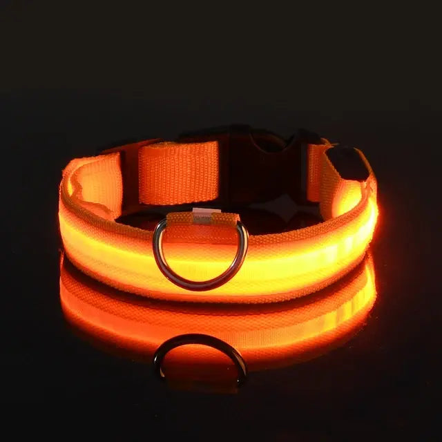 Glowing Dog Collar