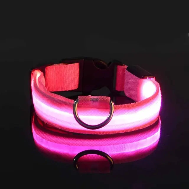 Glowing Dog Collar