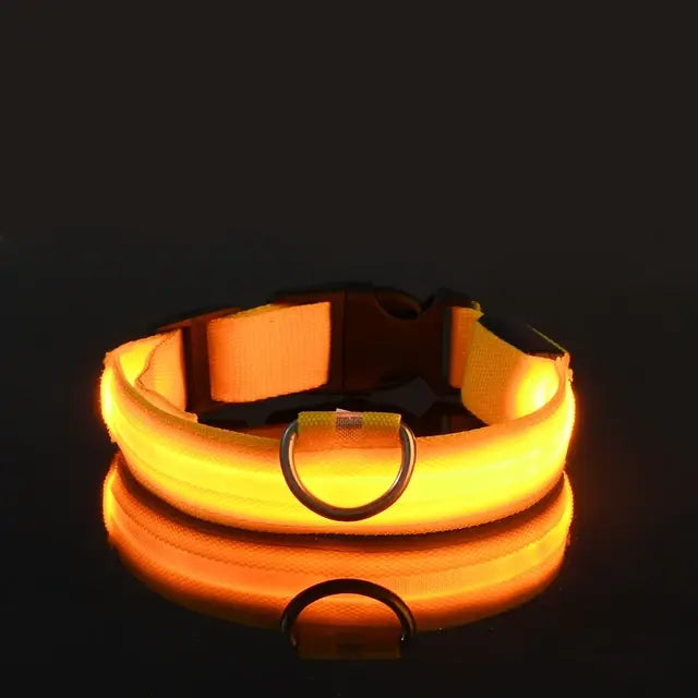 Glowing Dog Collar