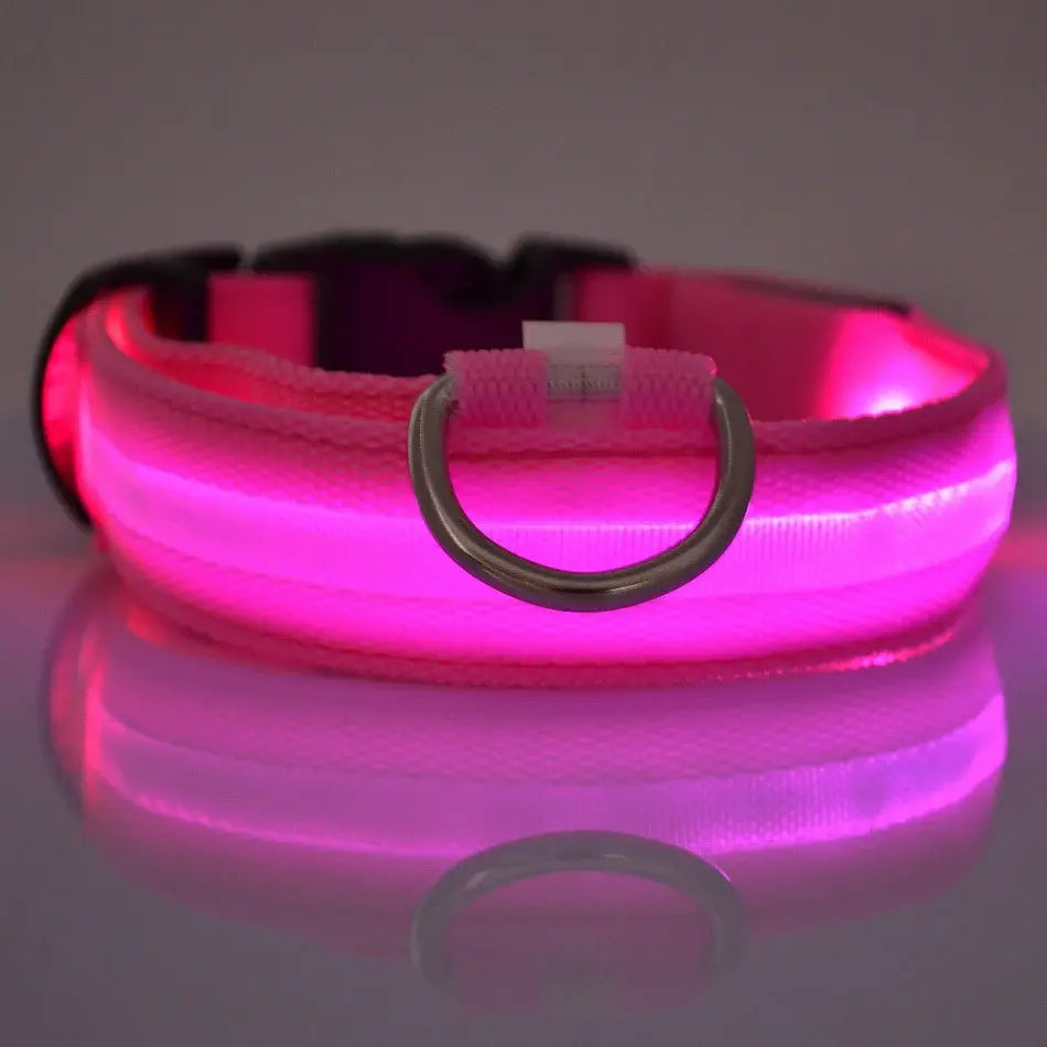 Glowing Dog Collar