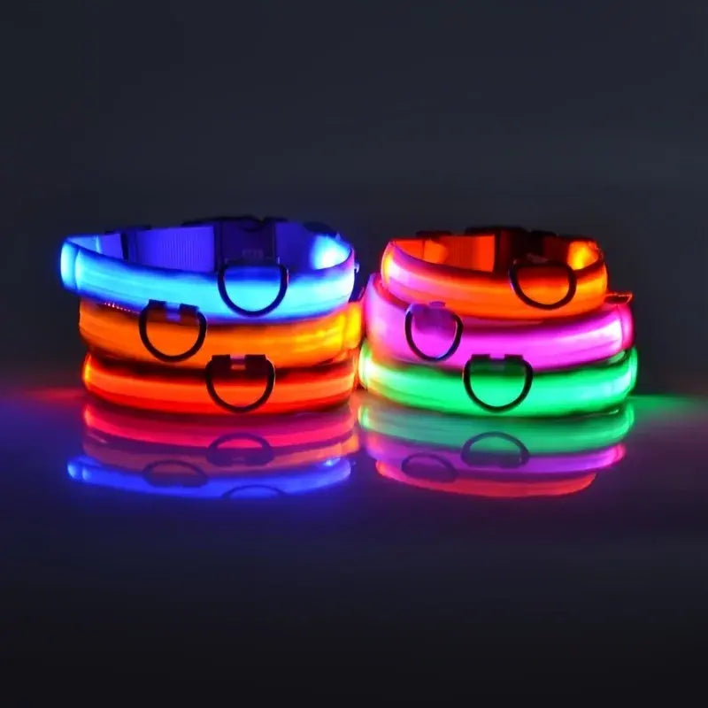 Glowing Dog Collar