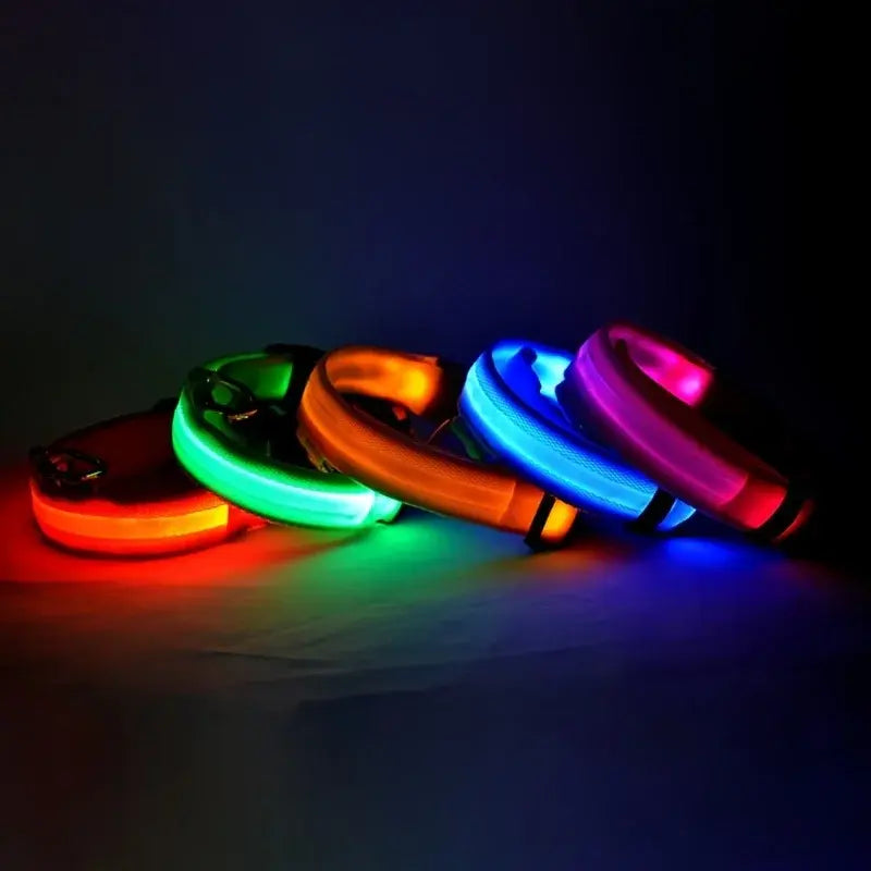 Glowing Dog Collar