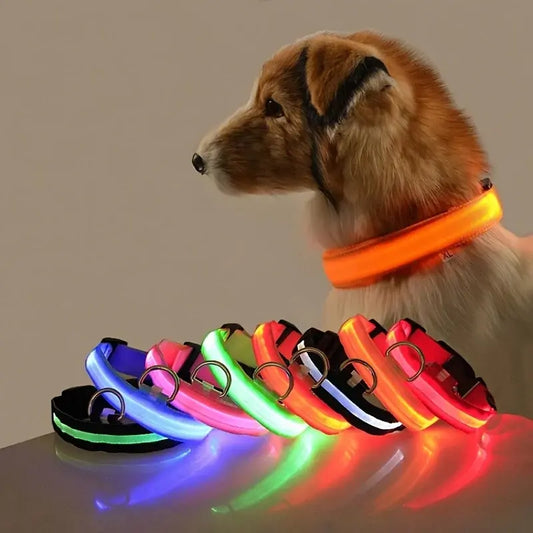 Glowing Dog Collar